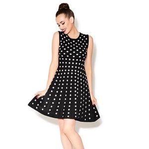 Betsey Johnson Dot Knit Fit and Flare Dress